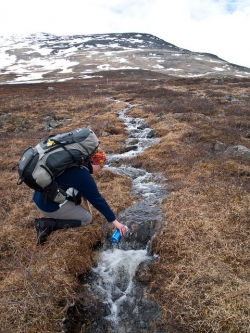 Kungsleden 1