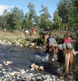 Paardrijden Noorwegen